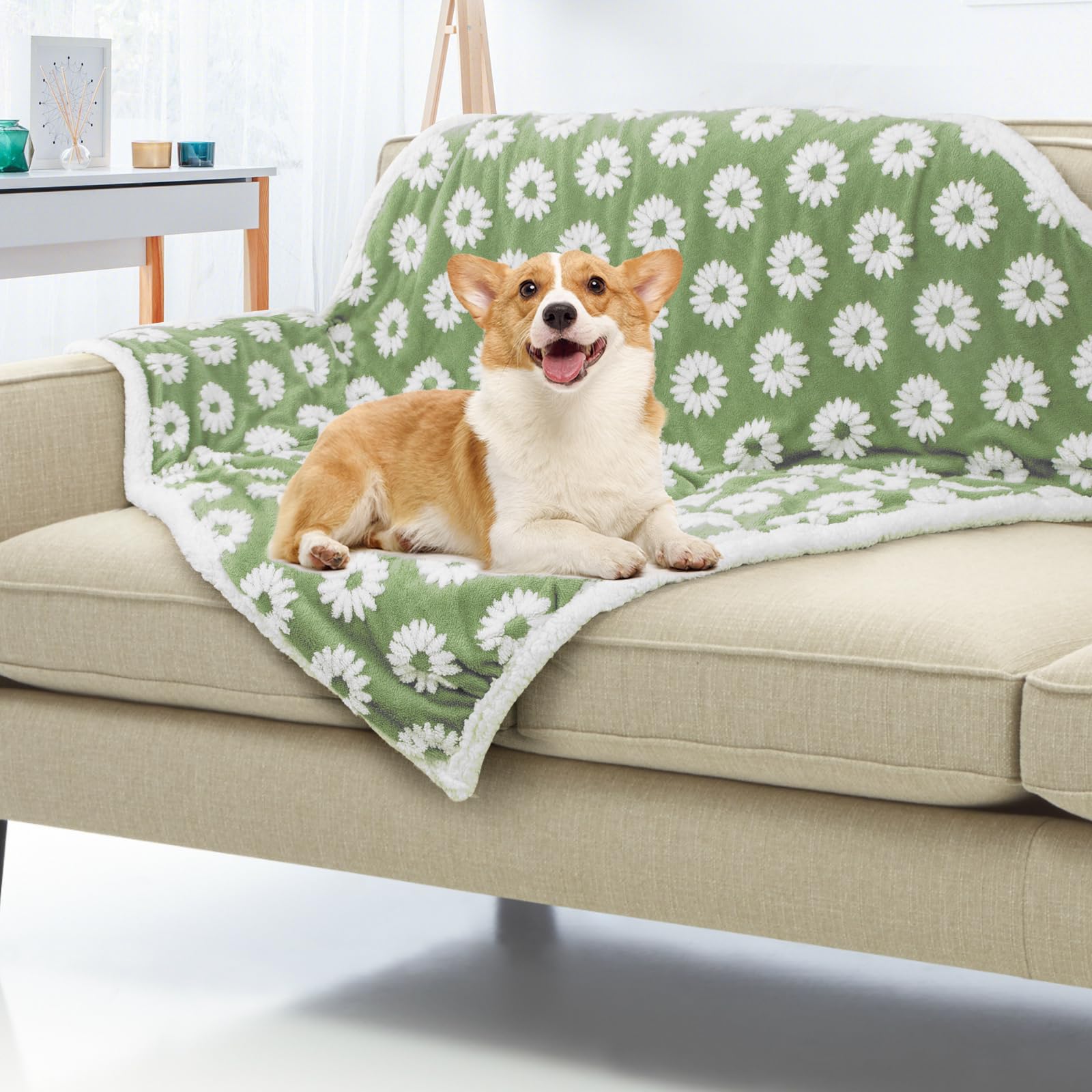 Due Felice Dog Blanket for Small Medium Large Dogs Fleece Cat Blankets for Indoor Cats Washable Fluffy Pet Bed Blanket Furniture Sofa Couch Cover Protector